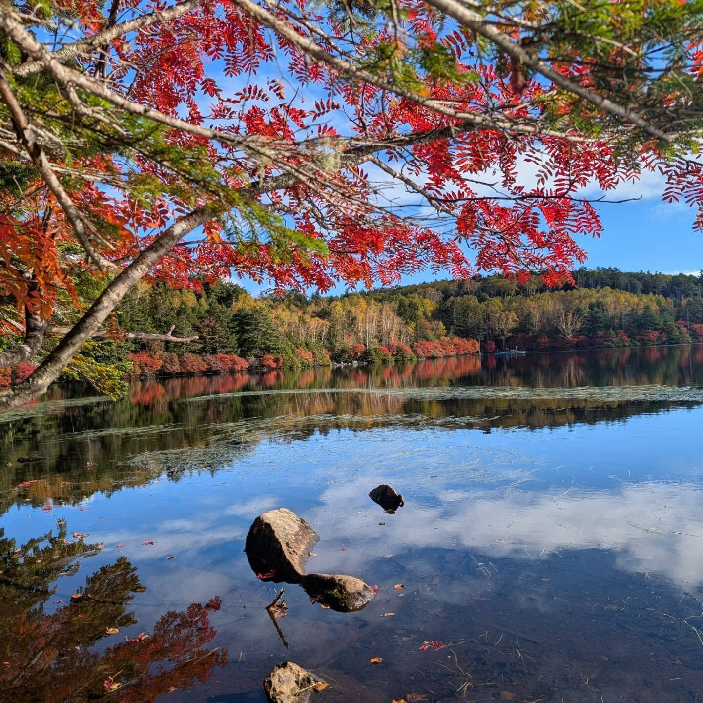🍁行きたい場所へ、自分の足で♪