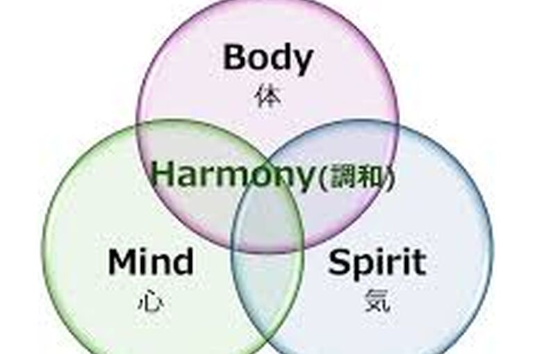    癒しの本質を求めて～ホリスティックな道へ～   